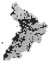 Painted Lady distribution in Ayrshire