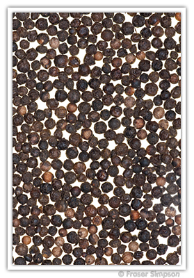 Peppercorns  2010 Fraser Simpson