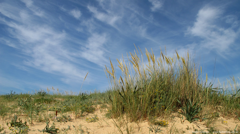 Zahara de los Atunes  Fraser Simpson