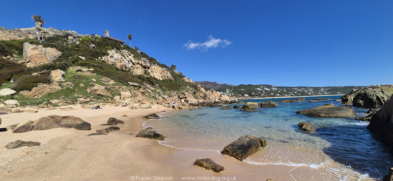 Playa del Bunker, Cabo de Plata, Atlanterra, April 2026 � Fraser Simpson