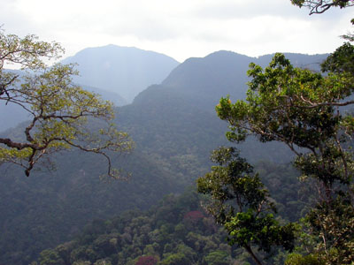 Cordillera Azul