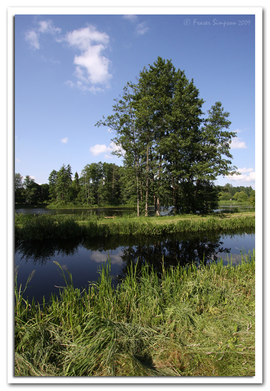 Park Palacowy, Bialowieza Forest  2009 Fraser Simpson