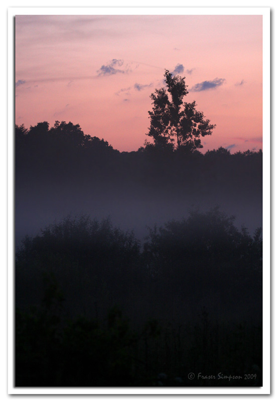 Sunset, Bialowieza Forest  2009 Fraser Simpson