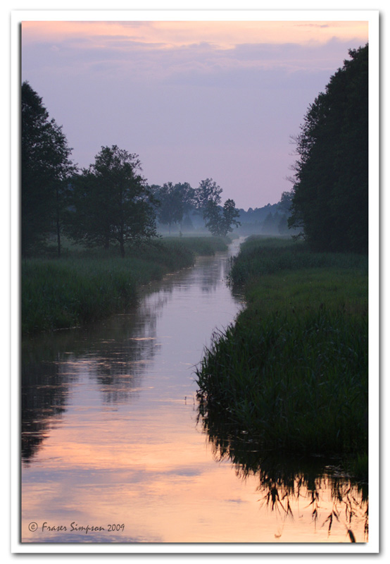 Narewka River, Bialowieza Forest  2009 Fraser Simpson