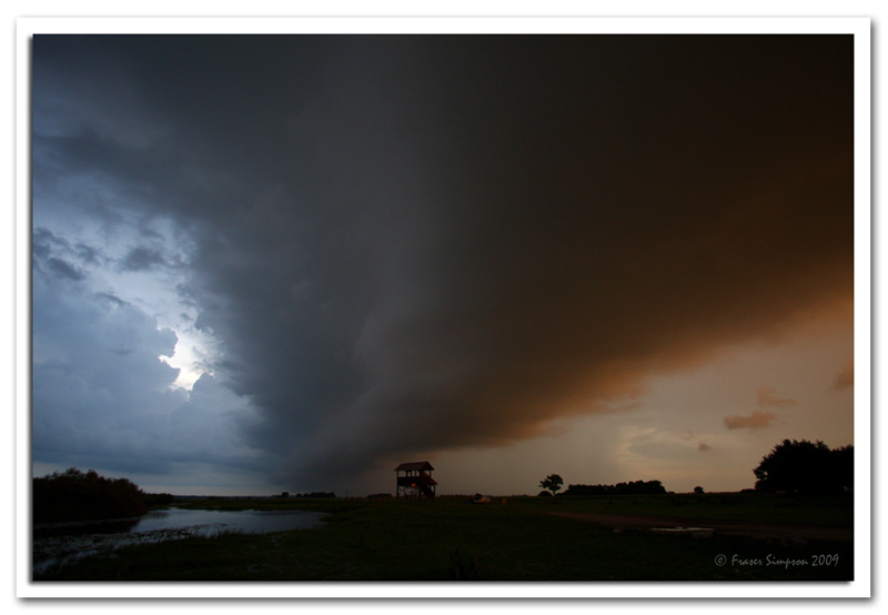 Moody skies over the Biebrza marshes  2009 Fraser Simpson