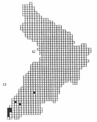 Purple Hairstreak distribution in Ayrshire