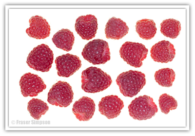 Perthshire Raspberries  2010 Fraser Simpson