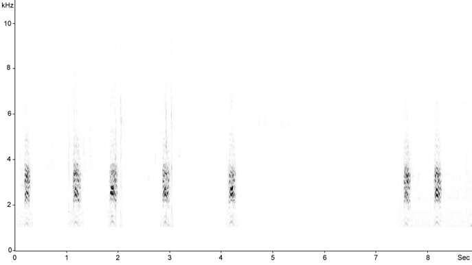 Sonogram of Red-backed Shrike, Lanius collurio  2009 Fraser Simpson