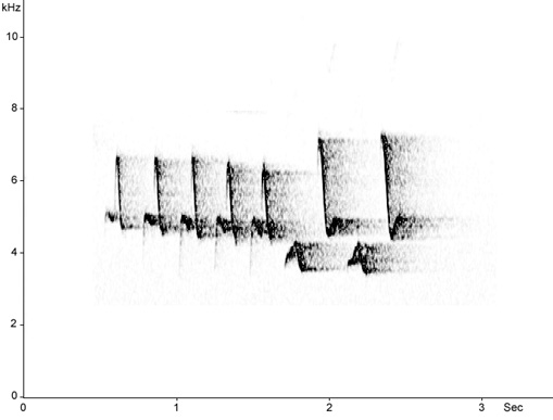 Sonogram of Red-breasted Flycatcher song