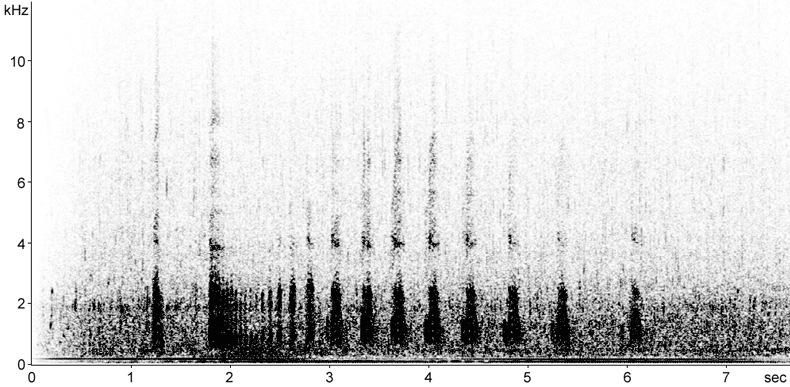 Sonogram of Red Grouse call