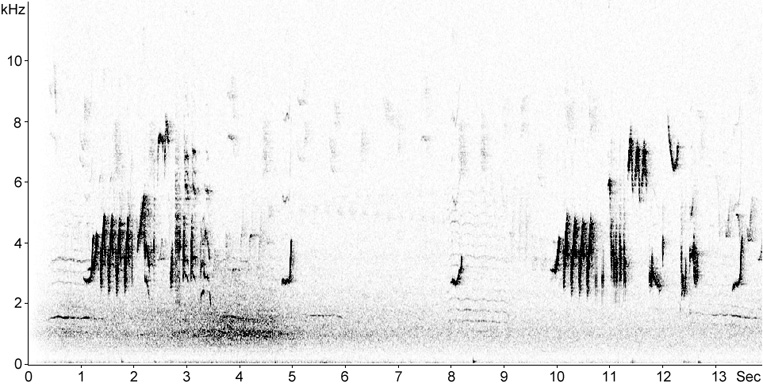 Sonogram of Redstart song