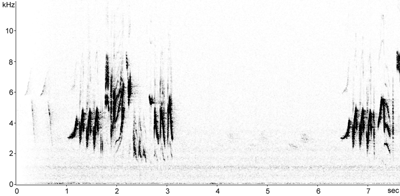 Sonogram of Redstart song