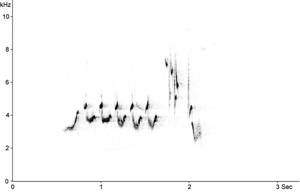 Sonogram of Redstart song