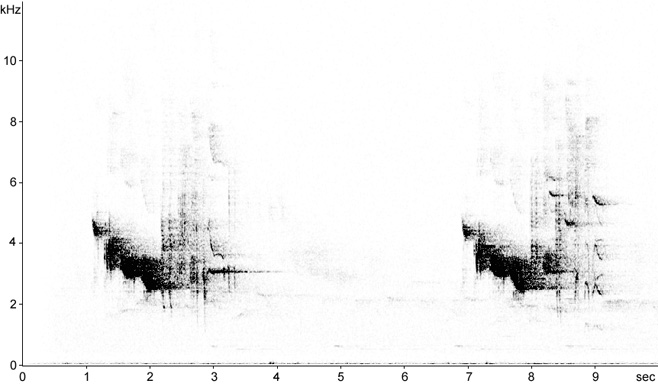 Sonogram of Redwing song