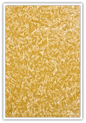 Rice Grains  2010 Fraser Simpson