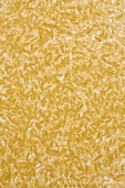 Rice Grains