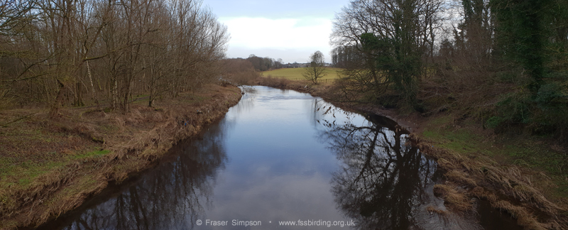 River Irvine, between Dreghorn and Shewalton, Ayrshire  Fraser Simpson 