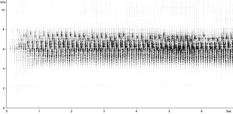 Sonogram of River Warbler, Locustella fluviatilis  2009 Fraser Simpson