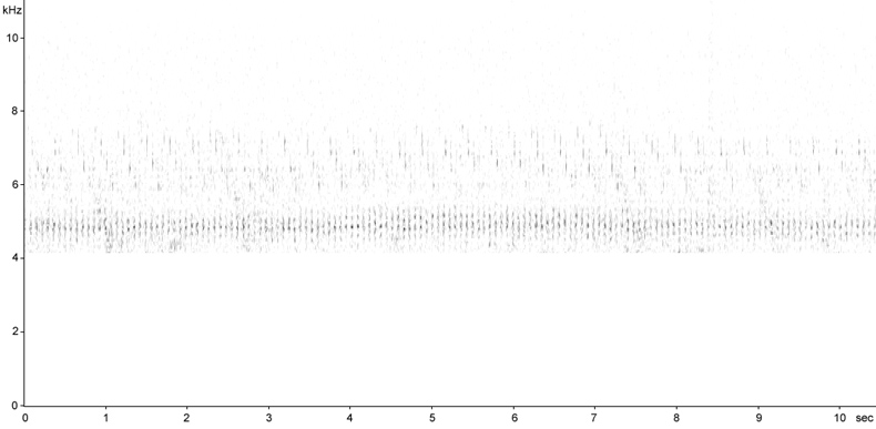 Sonogram of River Warbler song