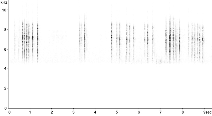 Sonogram of European alarm calls