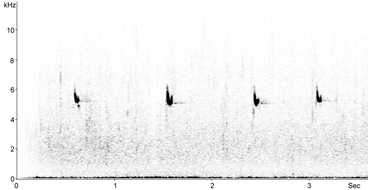 Sonogram of Rock Pipit calls