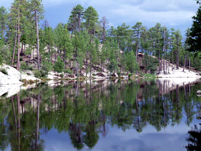Rose Canyon Lake  2006, Fraser Simpson