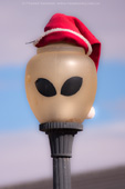 An alien is for life