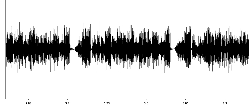 Oscillogram of Rufous Grasshopper calling song/stridulation