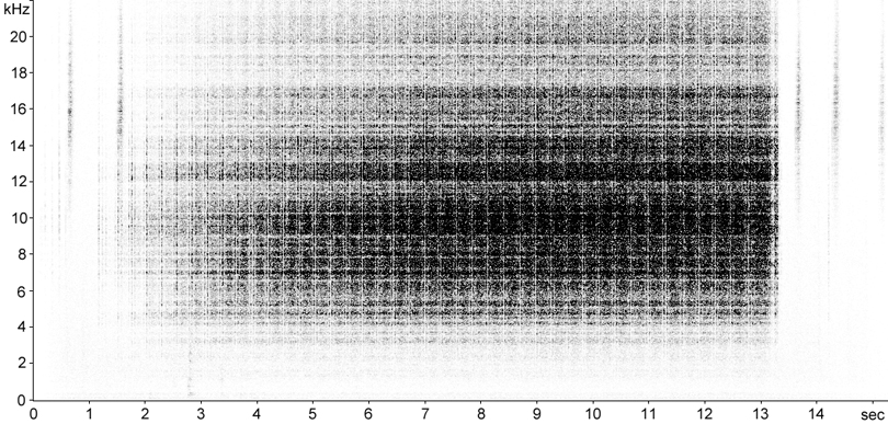 Sonogram of Rufous Grasshopper calling song/stridulation