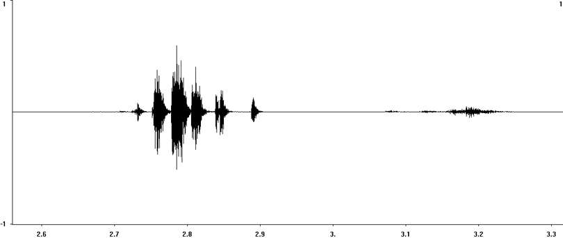 Oscillogram of Rufous Grasshopper courtship song/stridulation