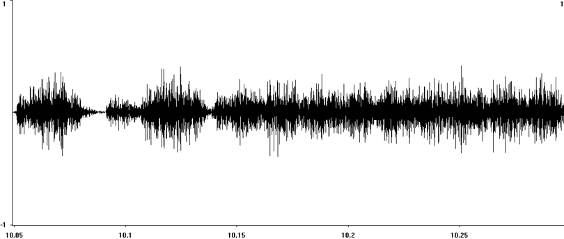 Oscillogram of Rufous Grasshopper calling song/stridulation