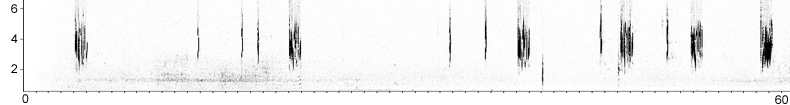 Sonogram of Rppells Warbler song