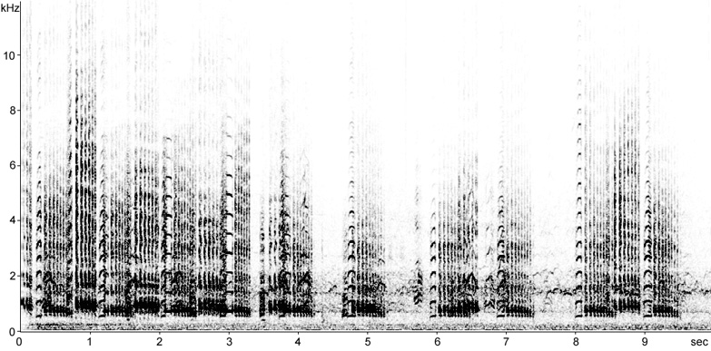 Sonogram of Sandhill Crane calls