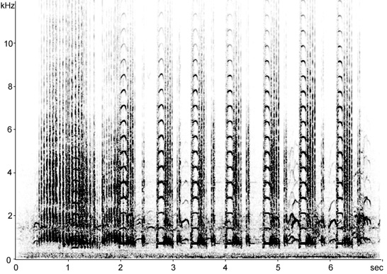 Sonogram of Sandhill Crane calls