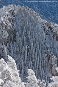 View from Sandia Peak