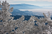 Sandia Crest View