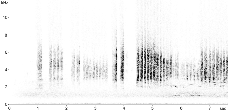 Sonogram of Barn Swallow calls and song