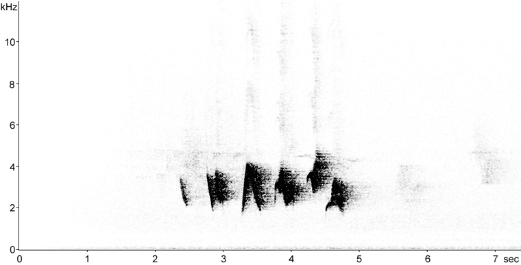 Sonogram of Scarlet Tanager song