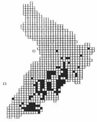 Scotch Argus distribution in Ayrshire