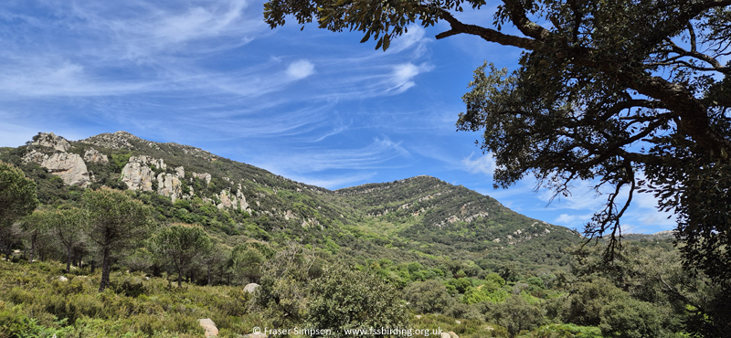 Sender Canuto de Risco Blanco, Parque Natural de los Alcornocales, Andaluc�a, Spain, Apr 2025 � Fraser Simpson