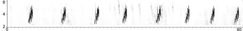 Sonogram of Short-toed Treecreeper song