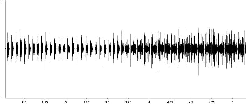 Oscillogram of Short-winged Cone-head stridulation  [shortwingedconehead117368capcut]