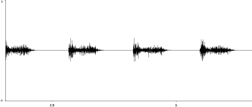 Oscillogram of Short-winged Cone-head stridulation  [shortwingedconehead117368capcut]