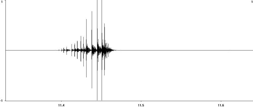 Oscillogram of Sickle-bearing Bush-cricket (Phaneroptera falcata) stridulation [sicklebearingbushcricket117986ecut1]