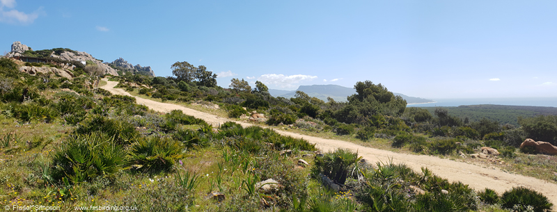 Track from lighthouse up to Sierra de la Plata  Fraser Simpson