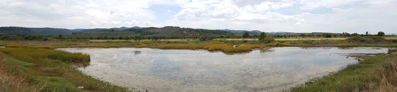 Coastal marsh near Skala Vasilikon  Fraser Simpson    www.fssbirding.org.uk