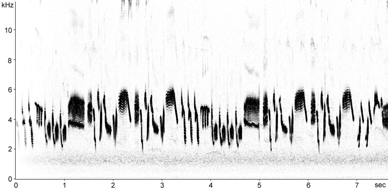 Sonogram of Skylark song