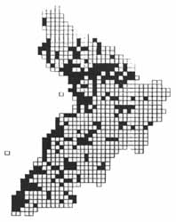 Small Copper distribution in Ayrshire