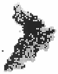 Small Tortoiseshell distribution in Ayrshire