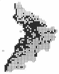 Small White distribution in Ayrshire